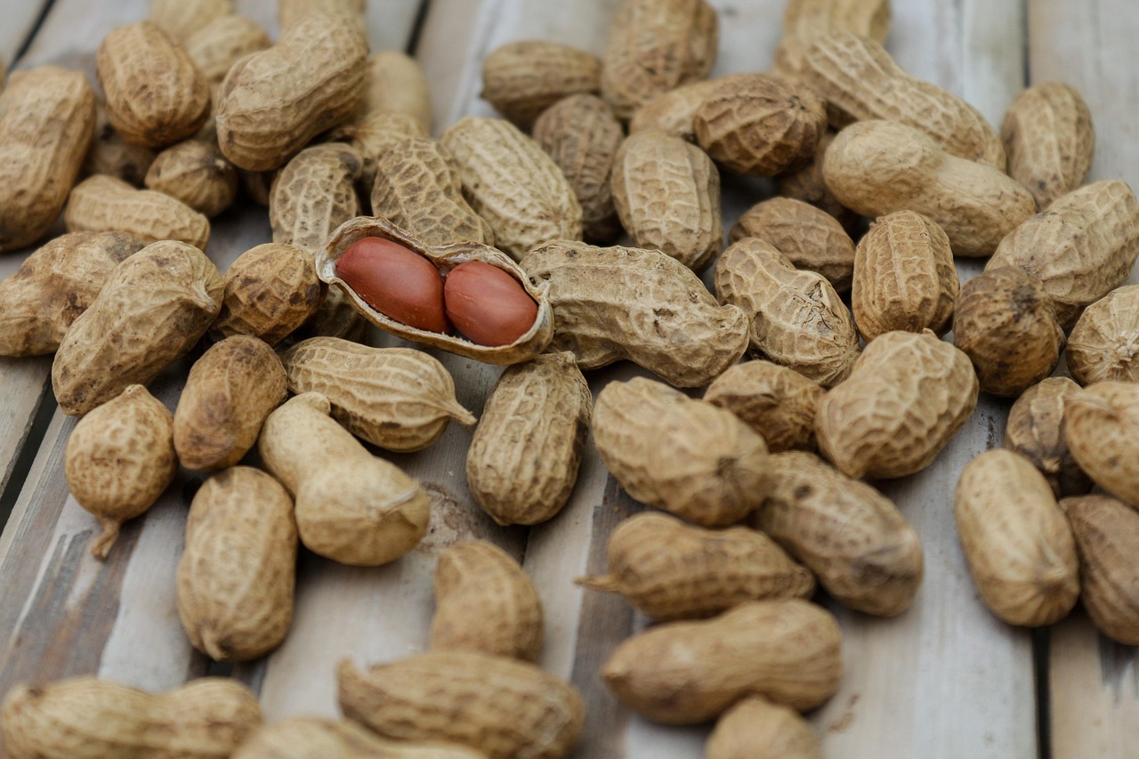 entdecken sie die wahrheit über ernährung! wir räumen mit gängigen ernährungsmythen auf und bieten wissenschaftlich fundierte fakten für eine gesunde lebensweise.