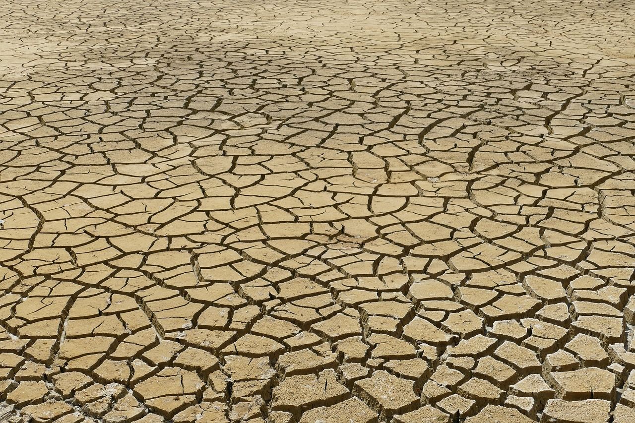 erfahren sie mehr über den klimawandel, seine ursachen, auswirkungen und lösungen. entdecken sie, wie sie zum schutz unserer umwelt und zur bekämpfung der globalen erwärmung beitragen können.