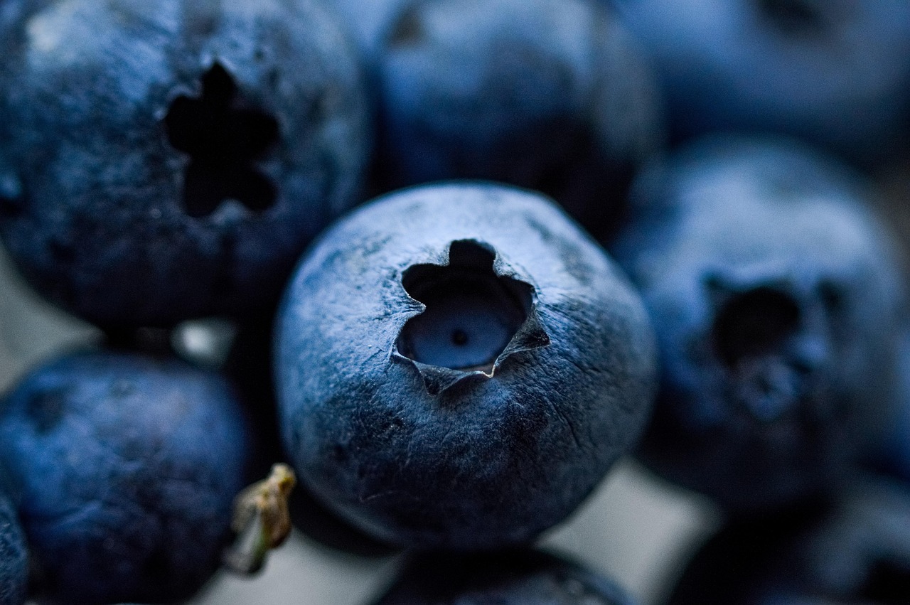 entdecken sie die welt der superfoods: erfahren sie, welche lebensmittel die meisten nährstoffe enthalten, wie sie ihr immunsystem stärken und zu einem gesunden lebensstil beitragen können.
